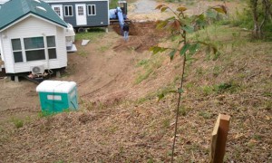 481683_561737337210463_1934159332_n